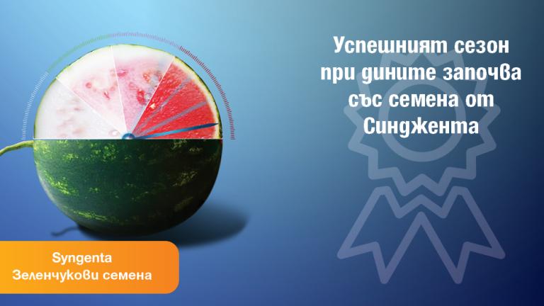 Семена дини за ранно производство от Синджента.