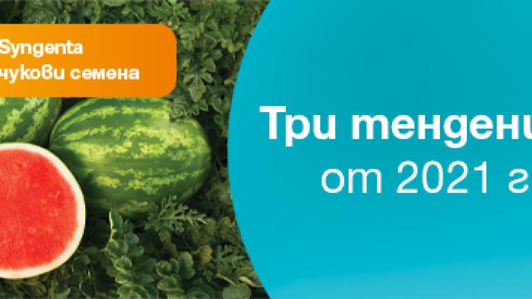 Три тенденции в българското зеленчукопроизводство за 2021 г. от Синджента.
