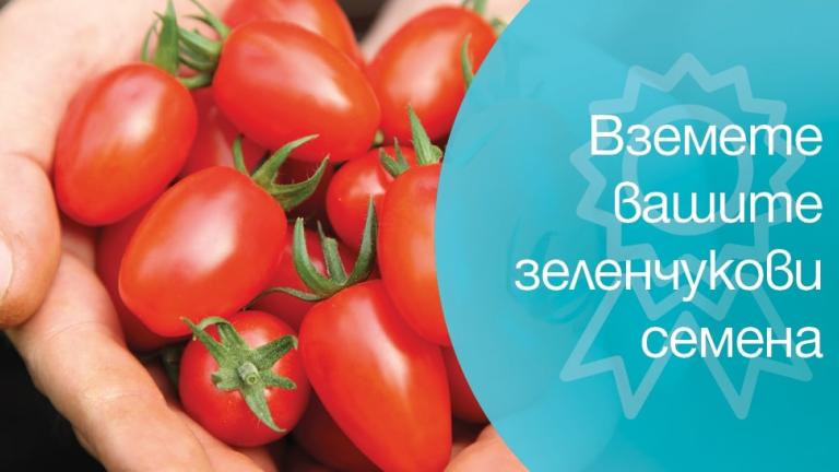 Дистрибутори за зеленчукови семена на Синджента. Вижте от къде можете да купите зеленчукови семена. 