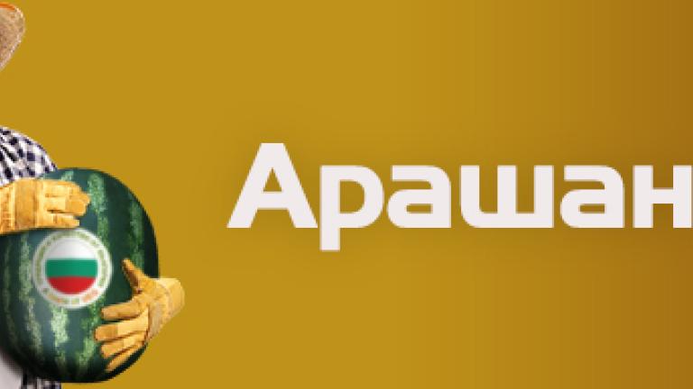 Семена диня за директна сеитба Арашан от Синджента.