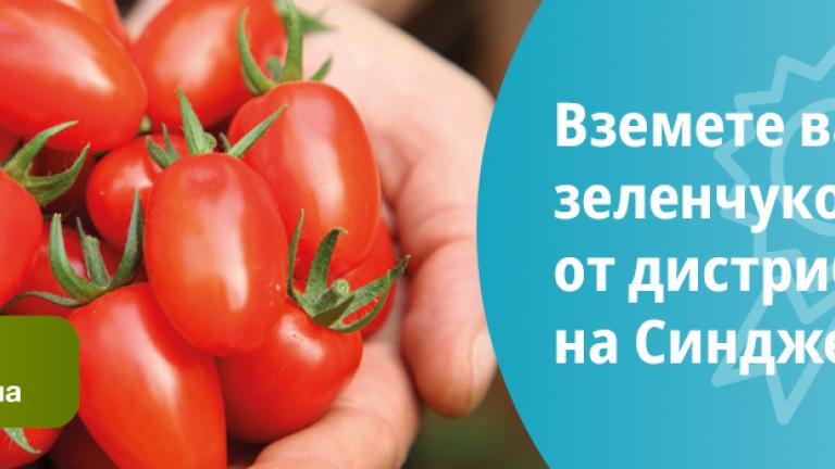 Синджента дистрибутори зеленчукови култури