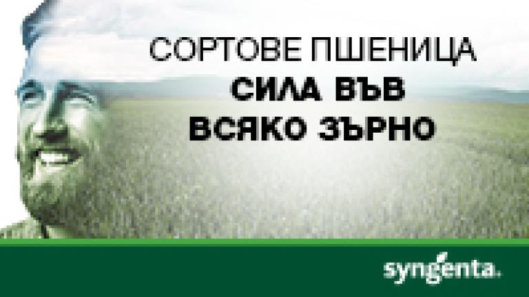 Hyvido – революционна технология в ечемик!