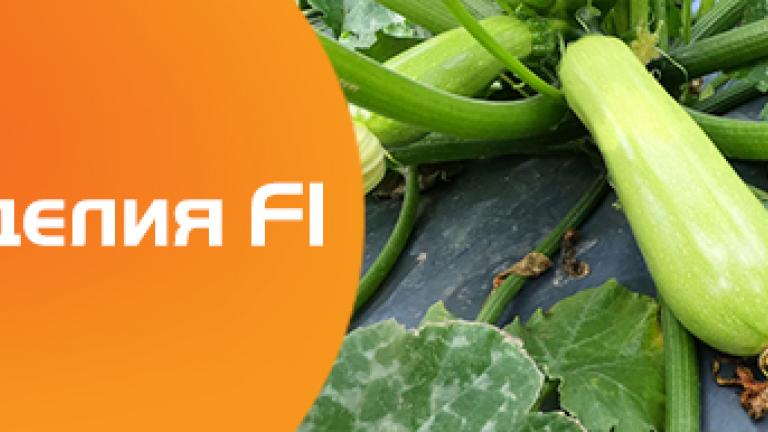 Корделия F1