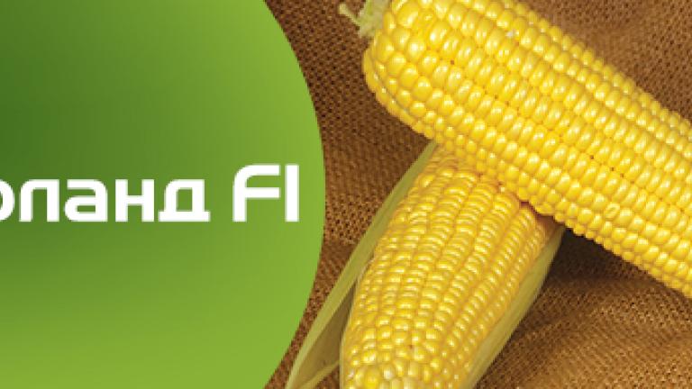 Оверланд F1