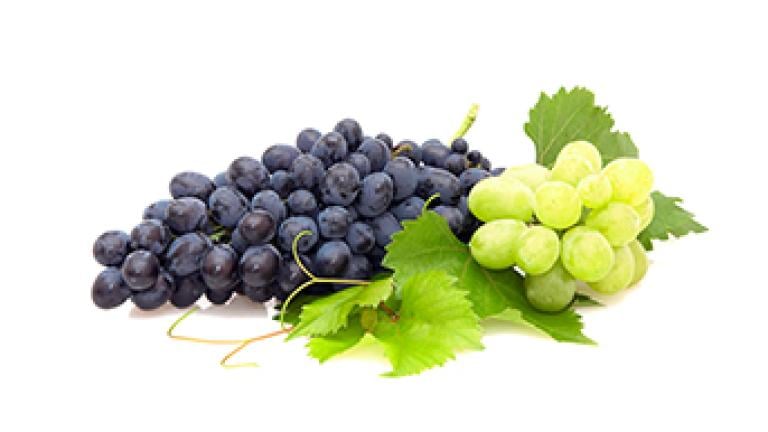 Синджента растителна защита грозде