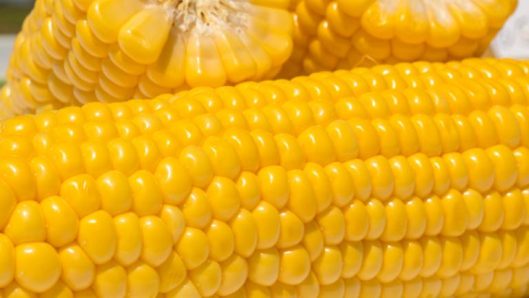 GSS3951_gold_image_566x566px_01.jpg