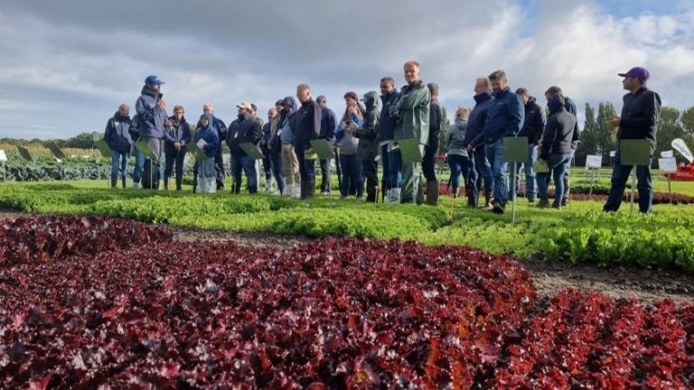 Fields of Innovation news 2022