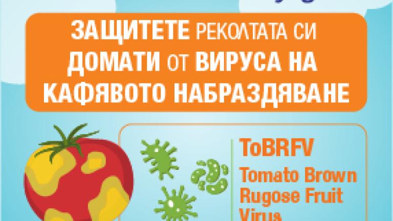 Информационен център за ToBRFV.