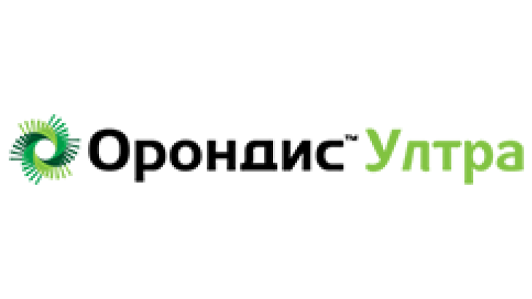 орондис лого