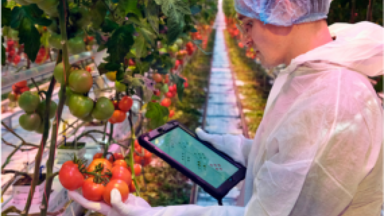 AI изследвания заедно със Source.ag.
