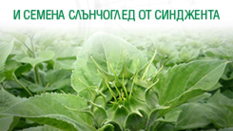Флуенс