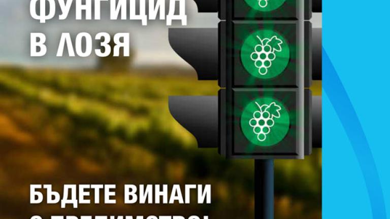 банер за продукта