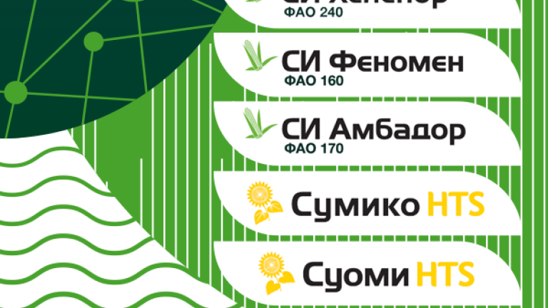 вторла култура
