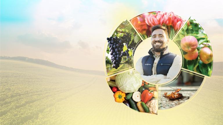 sps_home_page_header_01.jpg