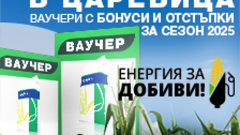 промоция нова визия царевица 2025