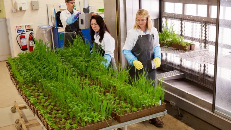 syngenta-people-laboratory