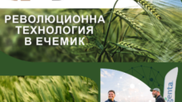 Hyvido технология2