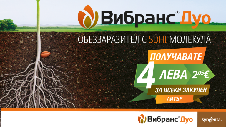 Вибранс Дуо