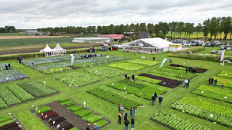 Syngenta Field of Innovation_event_-_thumbnail_image