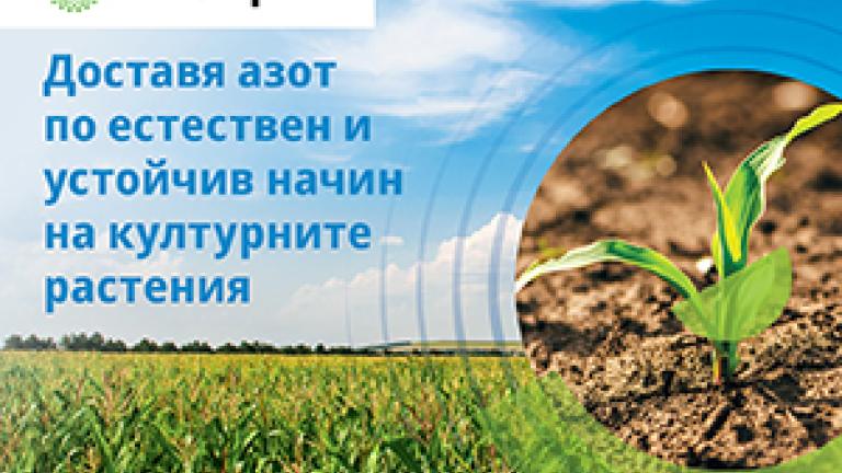 364_cp_vixeran_pr_post_corn_300x250px.jpg
