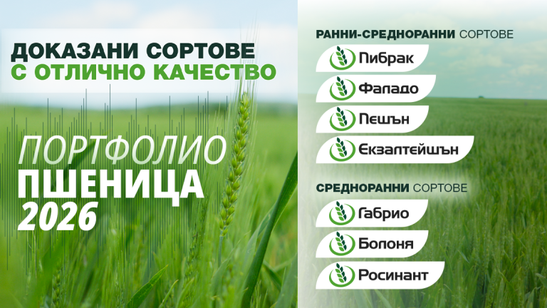 Пшеница промоции 2026