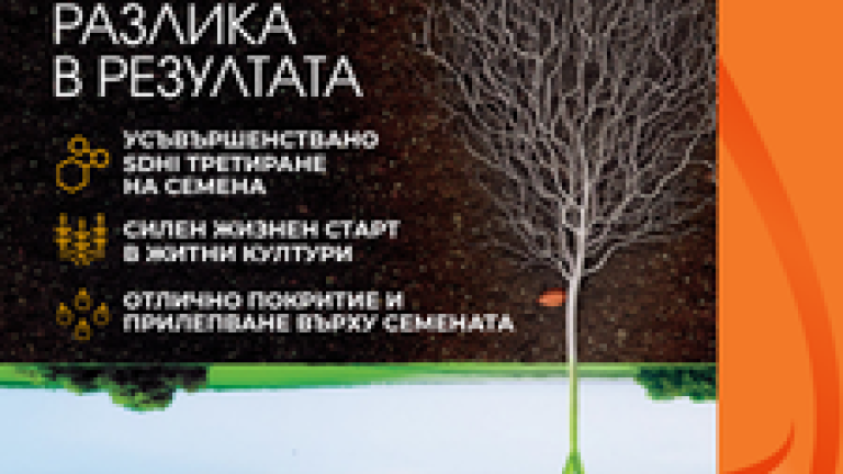 Вибранс Дуо 2026