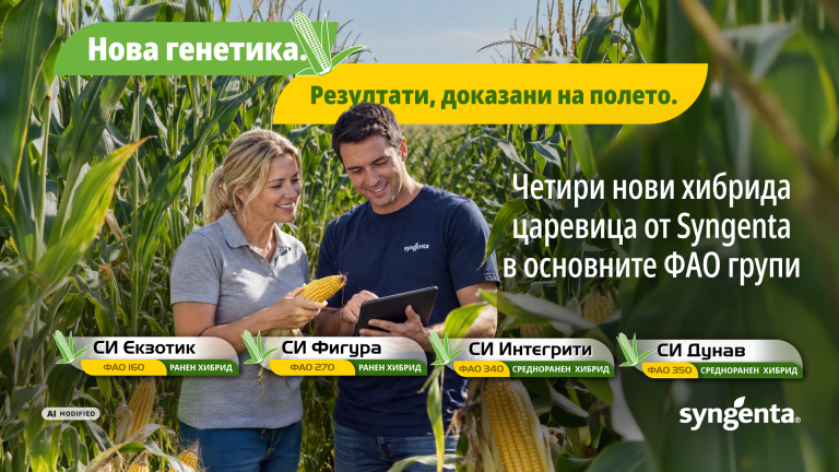 Камания царевица сезон 2026/2027
