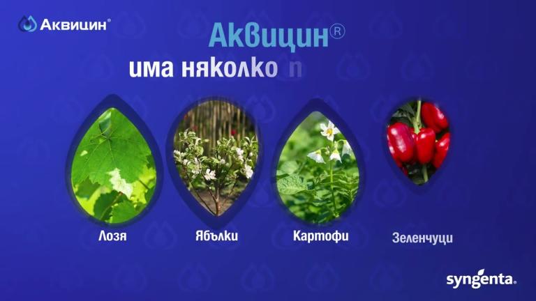 Аквицин е системен фунгицид, който повишава ефективността и  антирезистентния профил