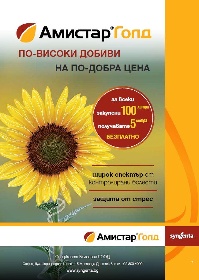 amistar_gold_promotion