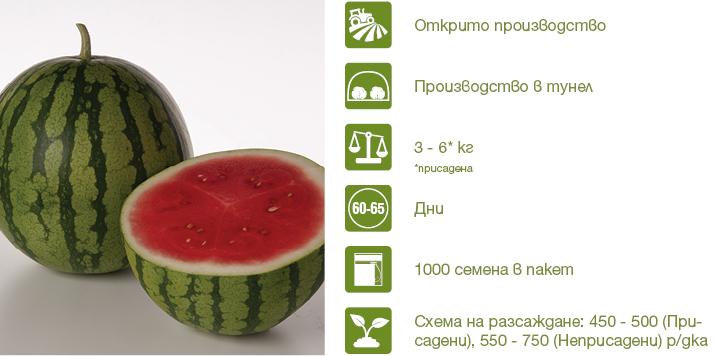Хибрид Диня Престиж