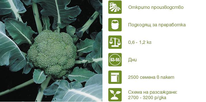 Хибрид Броколи Мантоп