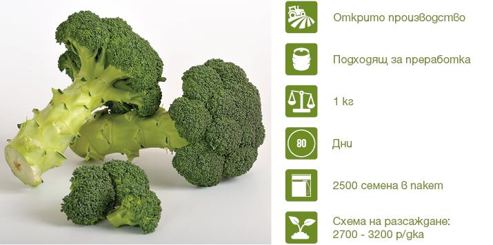 Хибрид Броколи Монако