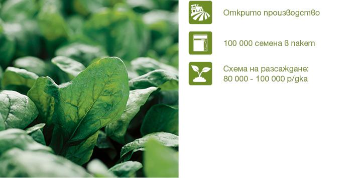 Хибрид Спанак Ел Форте