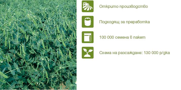 Хибрид Грах Скинадо