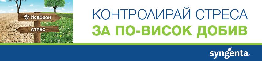 Исабион