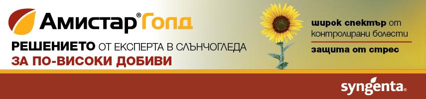 Кампания Амистар Голд Синджента