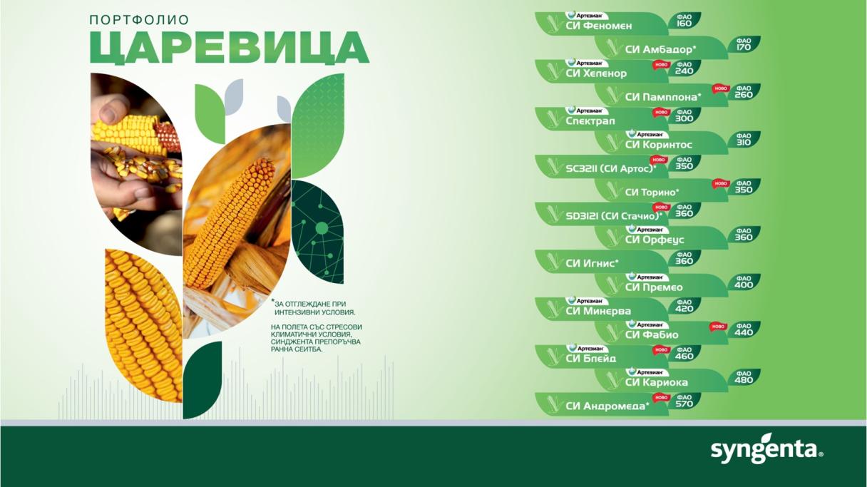 corn_portfolio_2024.jpg