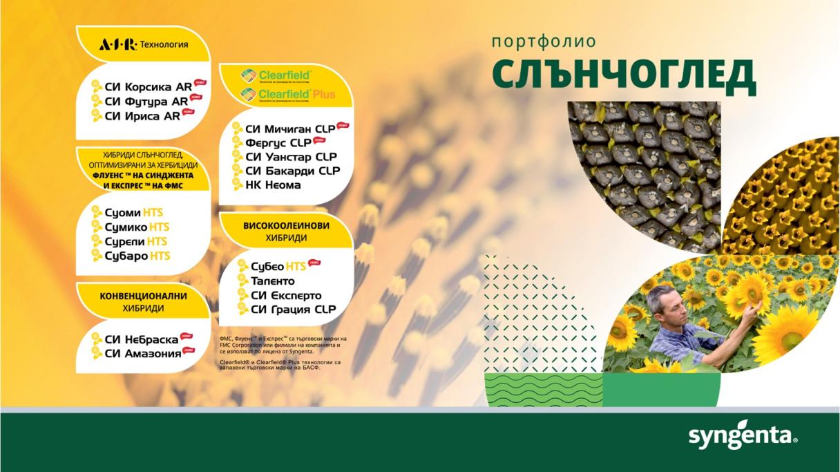 sun_2024_1.jpg