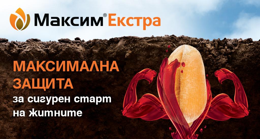 Maxim extra