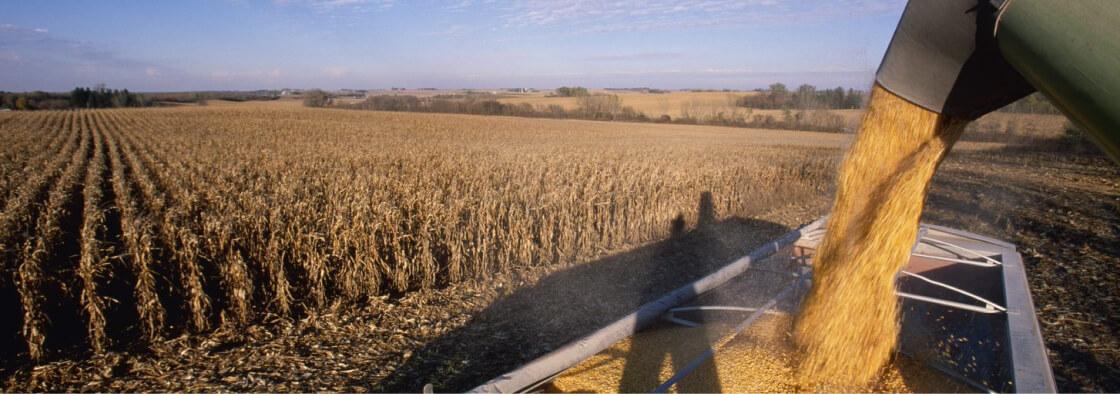 Cropwise Seed Selector
