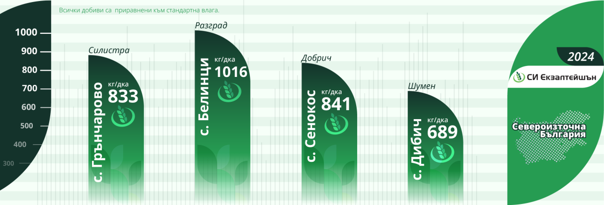 infographic_2024-ekzalteyshn_si.png