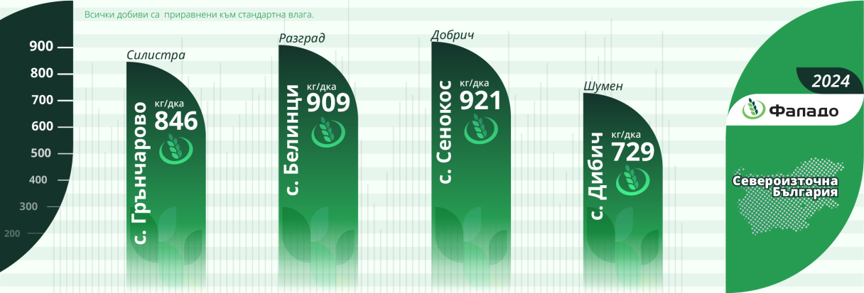 infographic_2024-falado_si.png