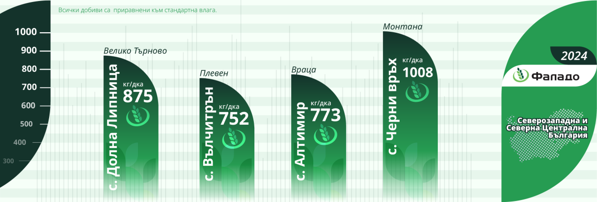 infographic_2024-falado_szc.png