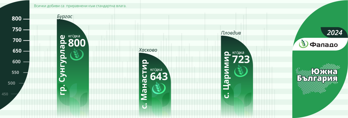 infographic_2024-falado_yu.png