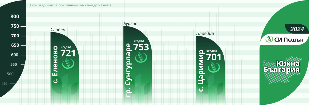 infographic_2024-peshn_yu.png