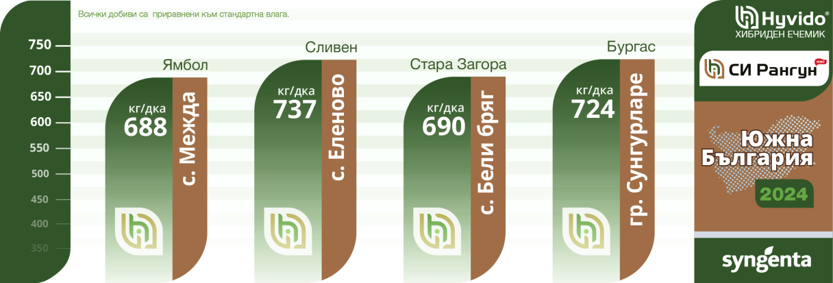 infographic_2024-rangun_-yu.png