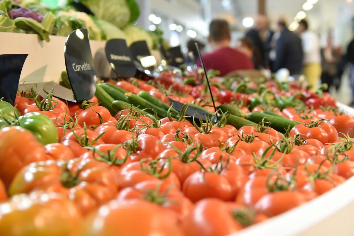 GrowTech Antalya 2024