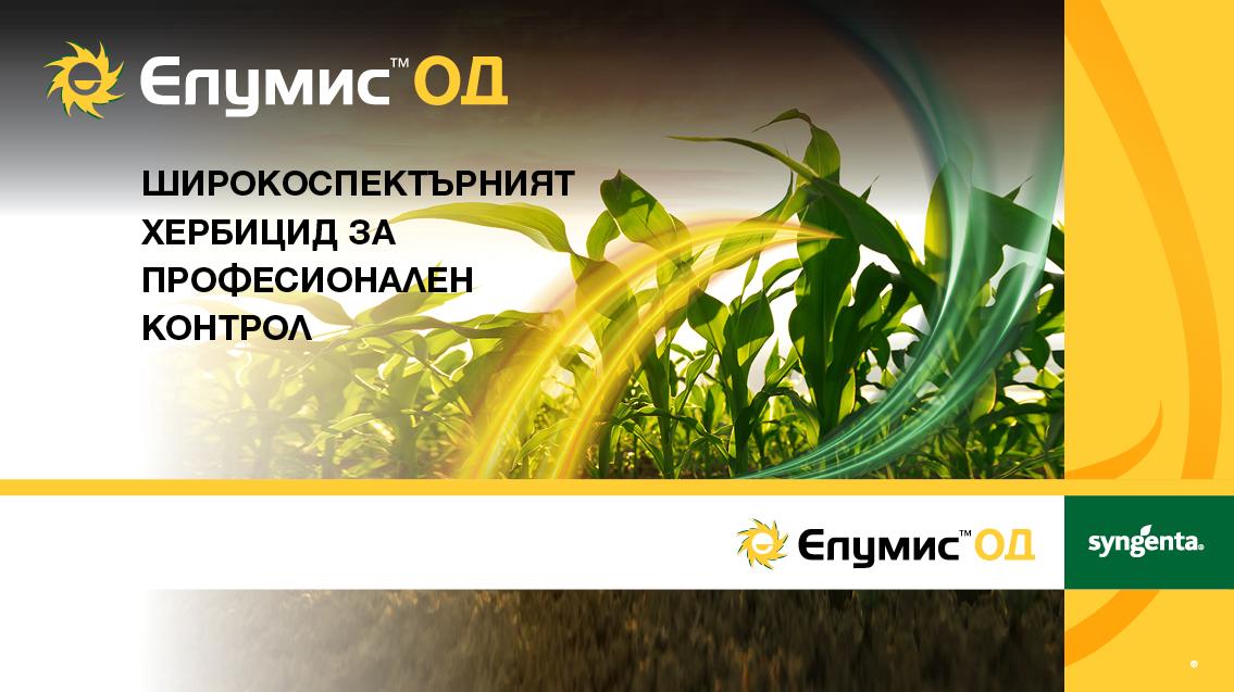 Елумис хербицид в житни и царевица