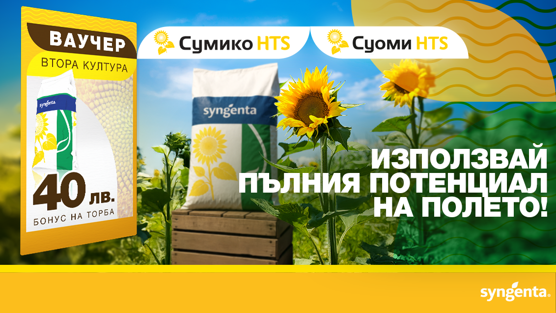 слънчоглед втора култура