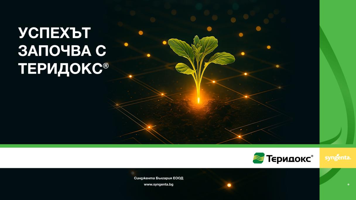Теридокс - решение за рапица